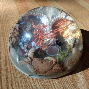 Large Resin Paperweight Vomit Lucite Embedded Sea Shells Ocean Theme Handmade